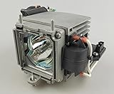 Lampentyp: Ersatz-Projektorlampe mit Gehäuse.