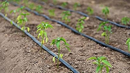 Siddhi Flat Inline Drip 1000 Meter Lateral 0.25 Thickness Meter Double Punched Dripper 4 Litre Water Discharge per Hour Dripper ((Thickness- 0.25 mm, 20mm-4 Ltr/Hr-40cm))