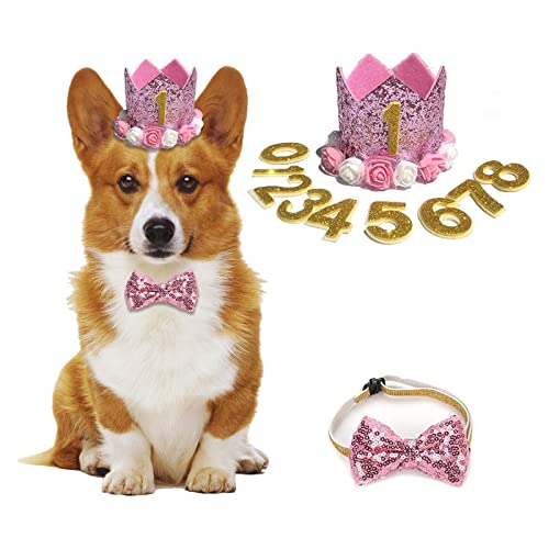 Chapeau d'anniversaire pour animal domestique, chapeau de couronne d'anniversaire et nœud papillon avec breloques de figurines, accessoire de fête pour chiens de petite et moyenne taille Cover