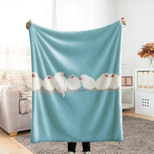 uPbg 唻 G| uPbg blanket for winter \t@[Jo[  Ƃӂ ~ ~zcJo[ Ђ| ~p Lv y ې I[V[Y g ~Mۉ