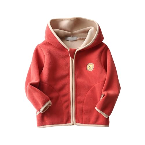 Girls and Toddlers' Polar Fleece Jacket with Hood Kids Boy Zip up Fleece Hoodie Sweatshirt Fall Winter Windproof Coat
