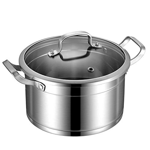 5 Quart Stockpot Stainless Steel Stockpot with Lid