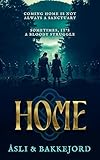 Home (Viking Ventures Book 4)