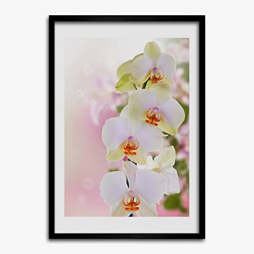 Tableau orchidée blanche 50x70 cm idéal pour créer une ambiance zen dans votre chambre