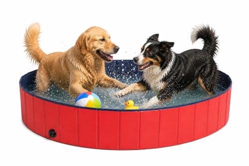 lionto Piscina plegable para perros bañera para perros piscina...