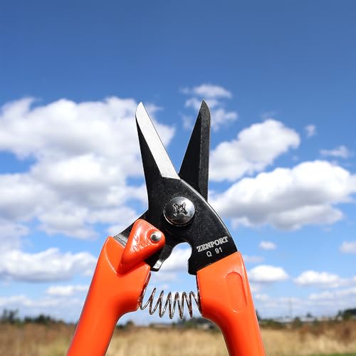 Tijeras Zenport Q91 para podar tallos y cascos, 7.25 pulg. miniatura 7