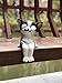 Bo Toys Solar Powered Cat Sitting Outdoor LED Garden Light Decor