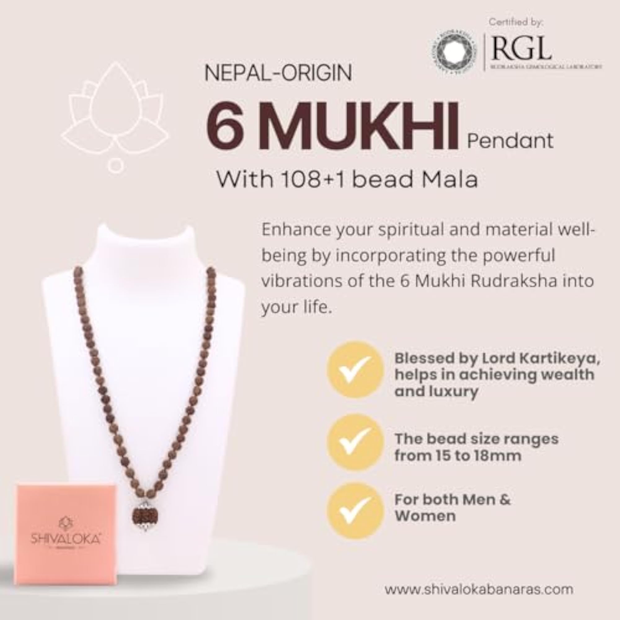 5 Mukhi Rudraksha Mala with 6 Mukhi Pendant, Pure Silver