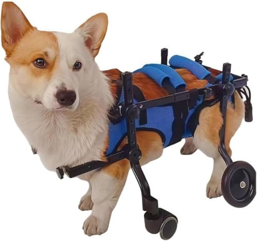 GEBYUI ペット用 4 輪車椅子 猫犬兼用のカート式歩行器 サイズ調整可能で老犬や後足麻痺の犬・猫に最適 歩行補助・リハビリ・介護に活用可能 安定性にペット用歩行補助器具