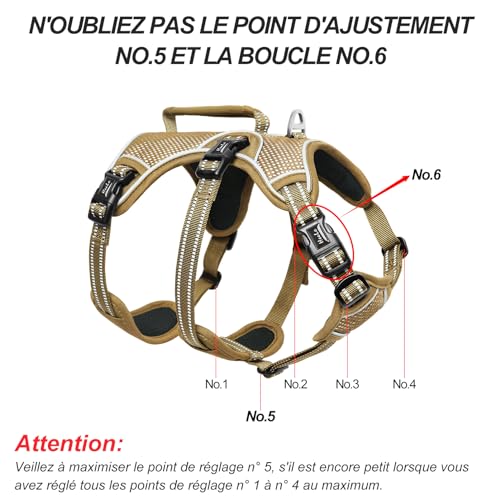 Image of HEELE Dog Harness, Escape Proof Dog Harness, Release on Neck, No Pull Reflective Adjustable Vest with Durable Handle, Dog Harness for Outdoor Training Walking, Dog Harness for Small /Active Dogs, S