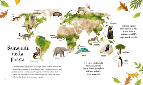 I Segreti Della Foresta. Storie Della Buonanotte Per Scoprire La Natura. Ediz. A Colori - 5