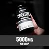 Jacked Factory Nitrosurge Pre-Workout in Pineapple & Creatine Monohydrate for Men & Women