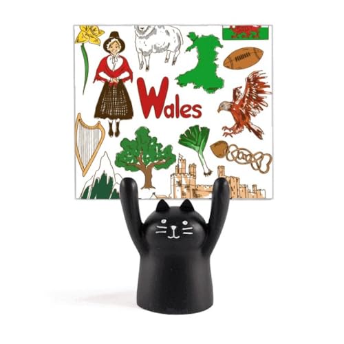 EF[Y̕ỉp J[gD[LX^h^z_[