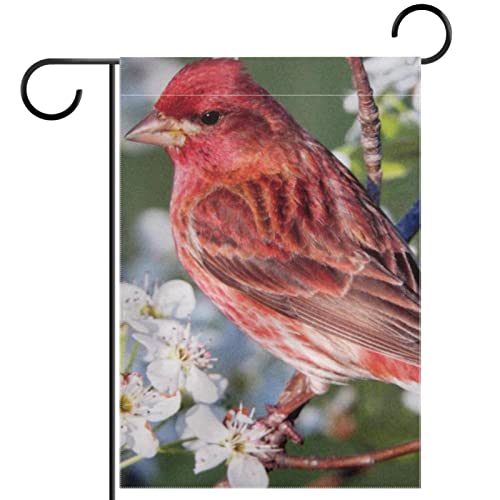Papel pintado de pájaros rojos, bandera vertical de jardín de doble cara, decoración de patio de granja de temporada