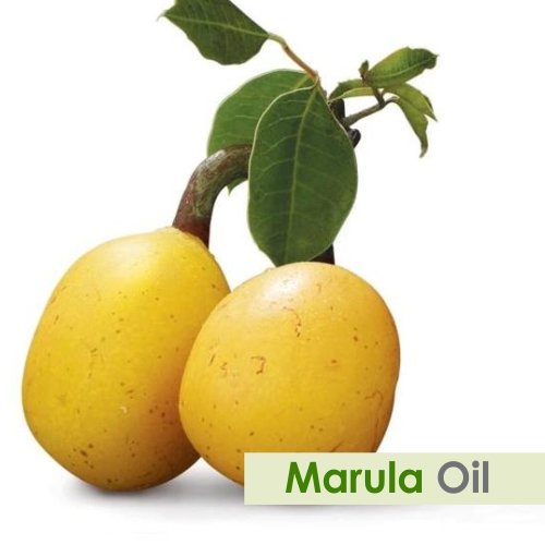 Image of Salvia Undiluted Uncut Essential Marula Oil with Dropper 250ML