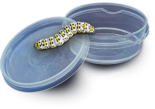 Image of SES Creative 25116 Insect Explorer