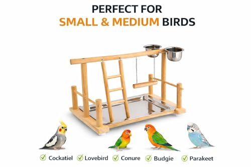 Image of KSK 17 Inch Bird Stand Perch with Food Cup - Wooden Parrot Playground & Activity Center - Bird Training Gym for Cockatiels, Conures, Lovebirds, Budgies & Small Parrots