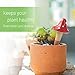 HOMYHEE Self Watering Spikes Mushroom Shaped Plant Watering Globes Irrigation Terracotta Watering Device Garden Waterer for Indoor Outdoor Plant 4 Packs