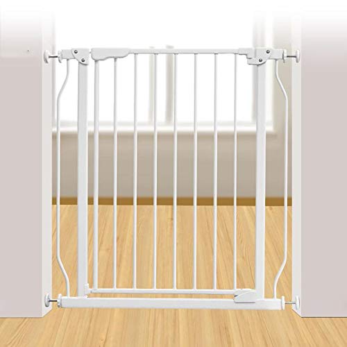 ybgxr[T[N`ChZ[teBQ[gKiK[h[ybgtFXQ[gxr[tFXxr[AC\[VhAK[htFXKi肷q/101-106Cm