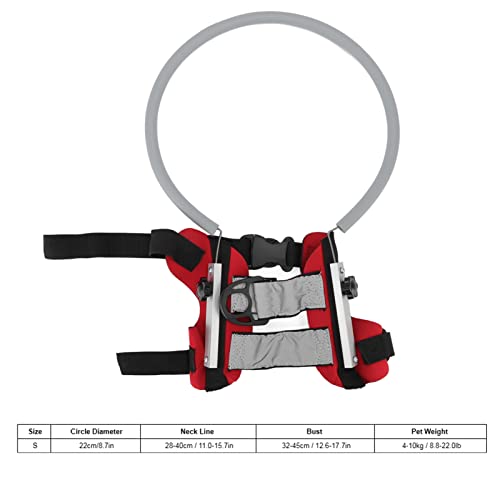 Mascotas, Imagen adicional