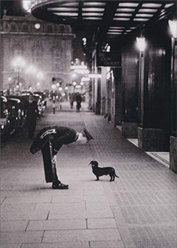 Hotel Dog Funny/Humorous Pet Sitting Thank You Card