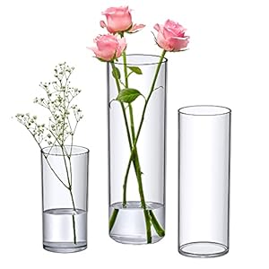 Amazing Abby – Viola Magra – Plastic Cylinder Vases (3-Piece Set), Acrylic Flower Vases for Wedding Centerpieces, Home Decorations, Office Ornaments, Shatter-Proof, 6″ + 9″ + 12″ (H) (Not Glass)
