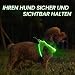 PcEoTllar Hundegeschirr Leuchtend, Leuchtgeschirr LED Aufladbar & Reflektierendes, Beleuchtetes Leuchtgeschirr für Welpe Klein Mittlere Hund, Atmungsaktiv Leucht Geschirr, Grün-M
