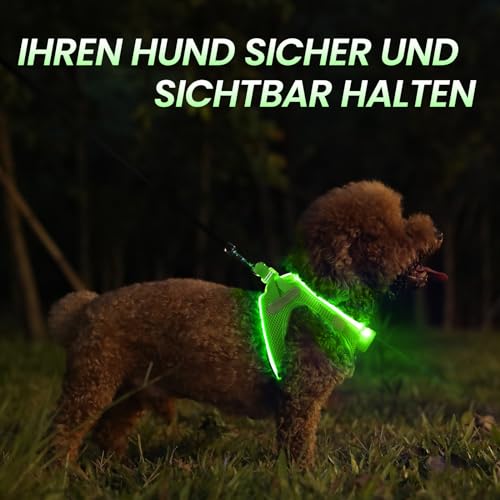 PcEoTllar Hundegeschirr Leuchtend, Leuchtgeschirr LED Aufladbar & Reflektierendes, Beleuchtetes Leuchtgeschirr für Welpe Klein Mittlere Hund, Atmungsaktiv Leucht Geschirr, Grün-S