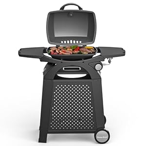 Master Cook 19001 Tragbarer Propangasgrill mit Wagen