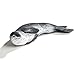 Safari Ltd. Sea Life - Leopard Seal - Realistic Hand Painted Toy Figurine Model - Quality Construction from Phthalate, Lead and BPA Free Materials - for Ages 3 and Up