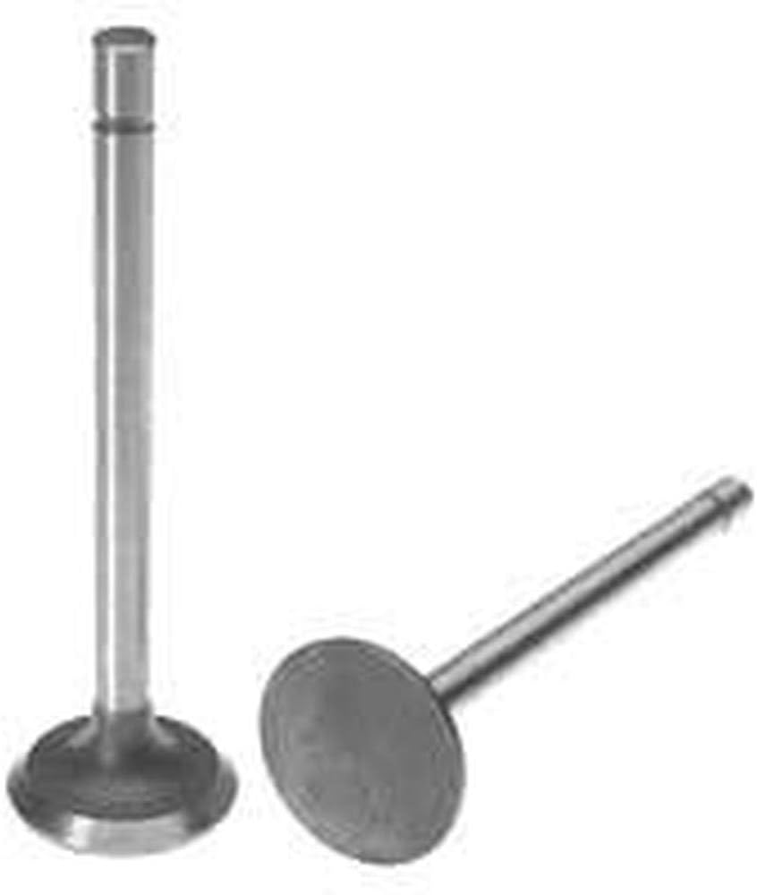 211-1269 Exhaust Valve Fits Case