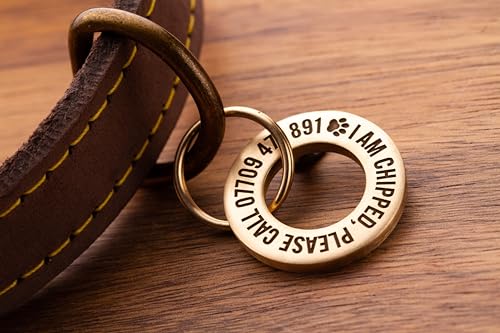 UKR Designs Identifikationsmarke für Hunde/Haustiere aus massivem Messing oder Edelstahl, mit professioneller Gravur und poliert