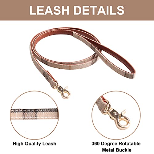 HACRAHO Set collare e guinzaglio per cani, 3