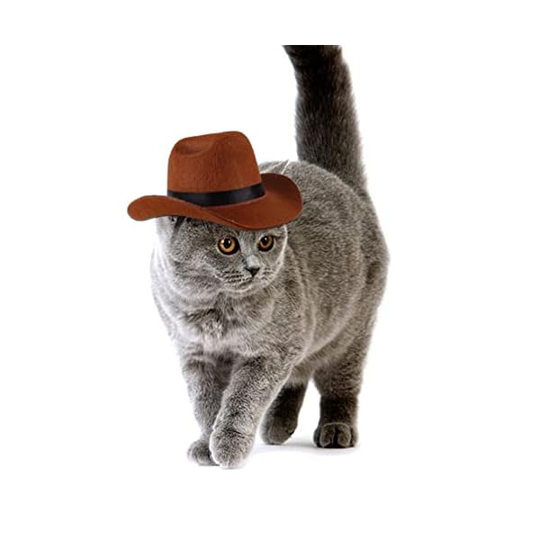 Pet cowboy hat bandana costume, funny dog cat costume accessories set for mexican birthday christmas and holiday party daily wearing - image 7