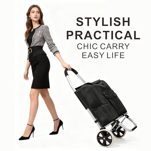 Heavy Duty Foldable Shopping Trolley with Wheels Oxford Waterproof Cart Removable Bag for Groceries Laundry Travel (Black-2 Wheels)
