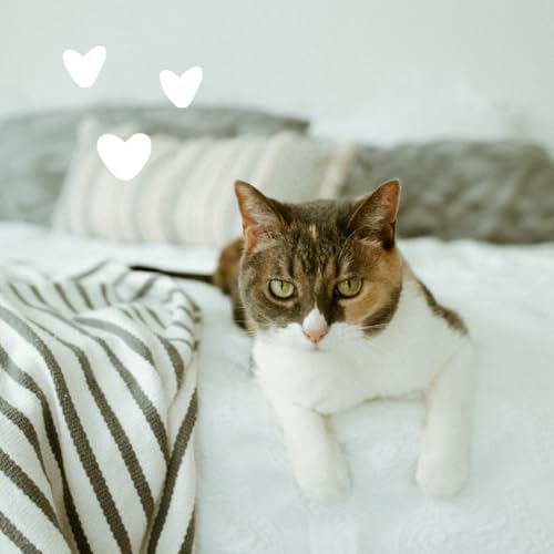 Image of earthbath All Natural Hypo-Allergenic Cat Grooming Foam, Cruelty Free, 4 Oz