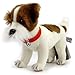 Jack Russel Terrier Premium Chien Peluche de collection Jacky – Doudou *biz