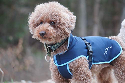 Amazon.co.jp: Hakusan(ハクサン) ゼロジャケット ネイビー 40