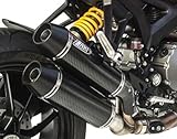 AUSPUFF zard racing auspuff overlap carbon kompatibel mit ducati monster 1100 evo 2011 2012 2013 mototopgun