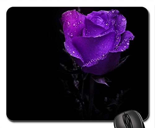 Amazing Purple Rose�}�E�X�p�b�h�A�}�E�X�p�b�h�iFlowers Mouse Pad�j