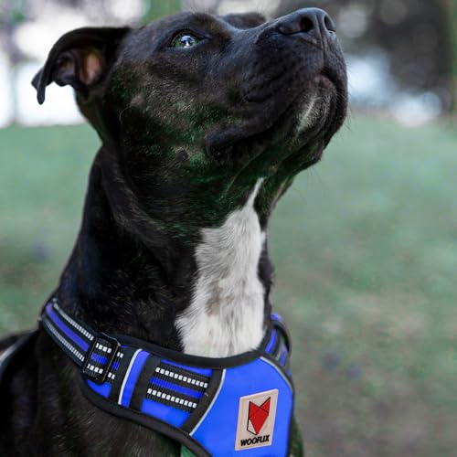 Image of Wooflix Heavy Duty Reflective Dog Harness for Large Sized Breed Dogs - No Pull, No Choke Harness for Dog with Adjustable Chest Belt with Soft Padded Handle | Blue - Size: Large (22kg to 32kg Dog)