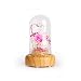 Produktbild Holz Glas Nachtlicht, drahtlose Bluetooth Musik Dimmen Tischlampe, Mädchen Geschenk