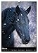 Mystical Horses (Wall Calendar 2026 DIN A2 High), CALVENDO Monthly Calendar: 12 Wonderful Dream Horses