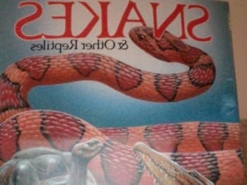 Paperback Snakes and Other Reptiles Book