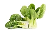 1000 Bok Choy Seeds - Shanghai Green Stem - Heirloom Non-GMO Vegetable Seeds for Planting - AKA Pak