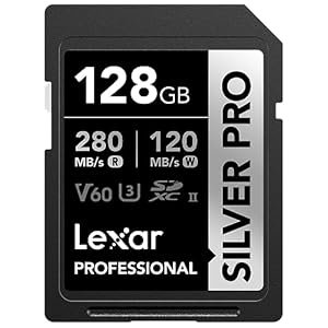 Lexar 128GB Professional SILVER PRO SDXC Memory Card, UHS-II, C10, U3, V60, Full-HD & 4K Video, Up To 280MB/s Read, for Professional Photographer, Videographer, Enthusiast (LSDSIPR128G-BNNNU)