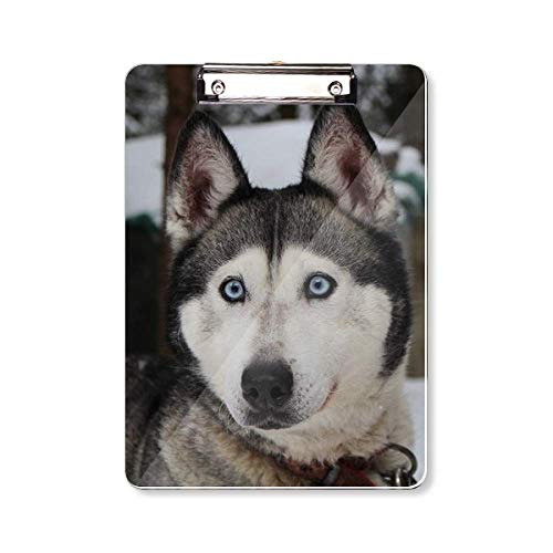 Bloc-notes A4 husky pour organiser votre quotidien créatif