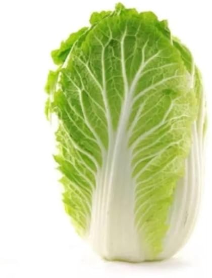 Avysa C103 Organic Green Cabbage Seeds (? ?), 500 Seeds
