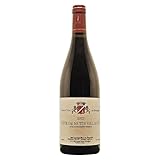 CÔTE DE NUITS-VILLAGES Matthieu Gil Vin rouge AOC 75 cl