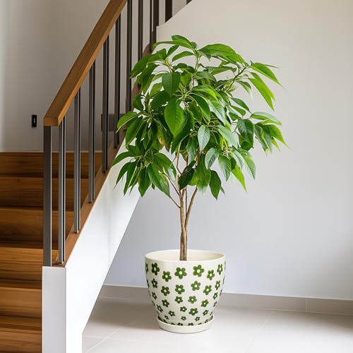 Pot de fleurs en céramique de 25,4 cm grand format avec drainage pour plante verte.